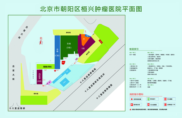 可以在线观看的屄屄屄网址北京市朝阳区桓兴肿瘤医院平面图